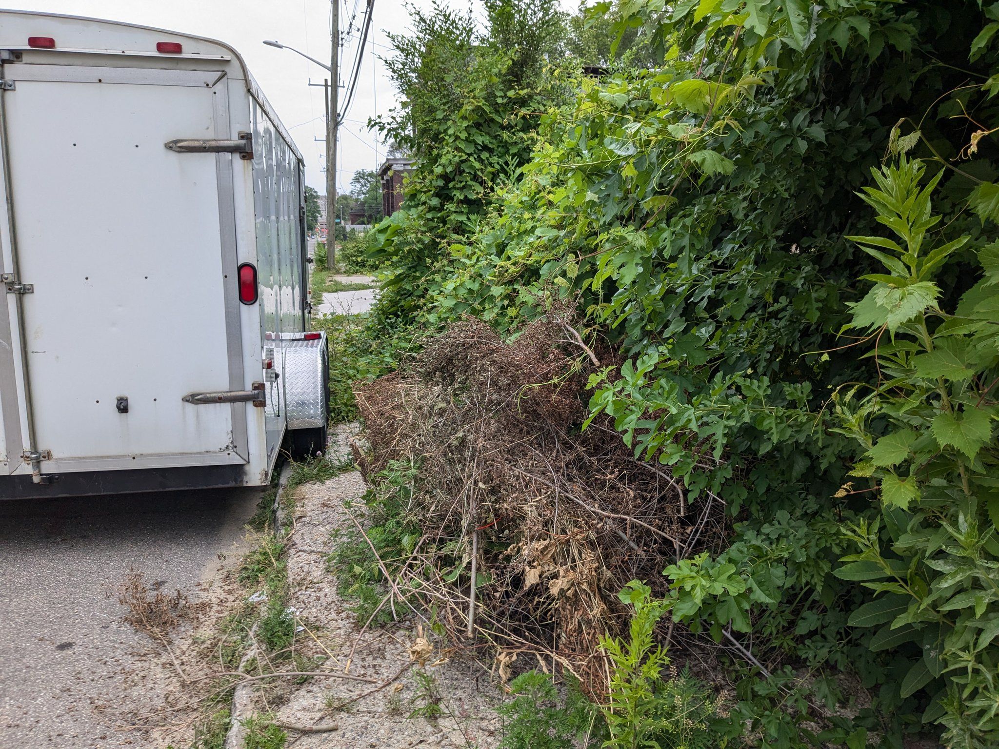 Sidewalk covered in sticks and isn't usable